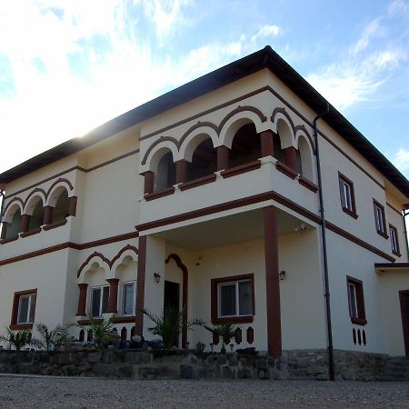 Vila Phoenix Călimăneşti 외부 사진
