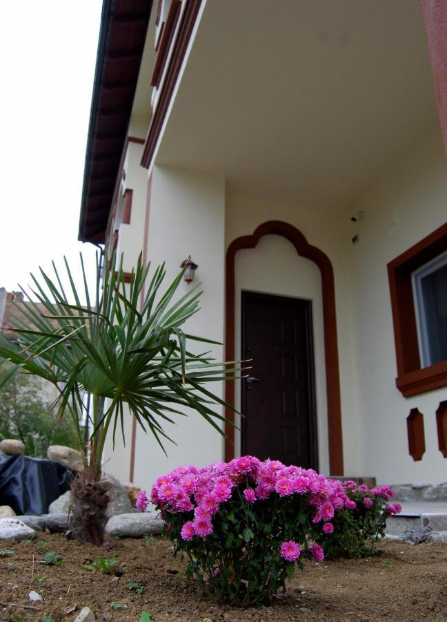 Vila Phoenix Călimăneşti 외부 사진