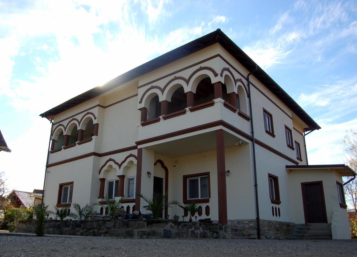 Vila Phoenix Călimăneşti 외부 사진
