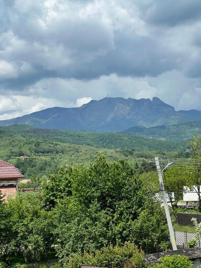 Vila Phoenix Călimăneşti 외부 사진